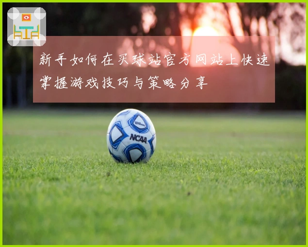 新手如何在买球站官方网站上快速掌握游戏技巧与策略分享
