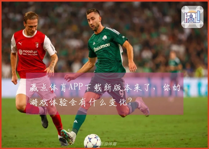 赢点体育APP下载新版本来了，你的游戏体验会有什么变化？